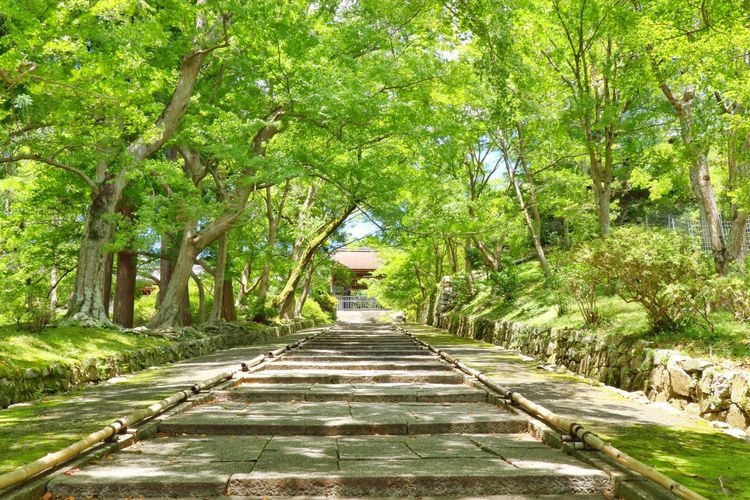 Tourist destination images of Bishamon-do Temple(2)