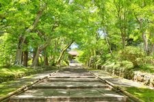 Tourist destination images of Bishamon-do Temple(2)