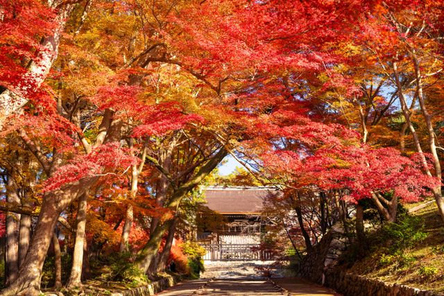 Bishamon-do Temple