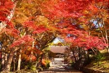 Tourist destination images of Bishamon-do Temple(1)