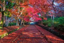 Tourist destination images of Bishamon-do Temple(2)