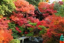 Tourist destination images of Bishamon-do Temple(3)