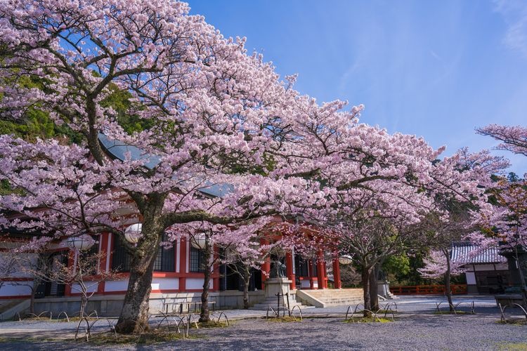 鞍馬寺