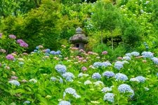 Tourist destination images of Yoshimine-dera Temple(2)