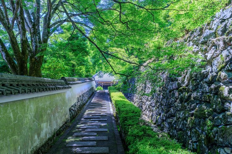 Yoshimine-dera Temple