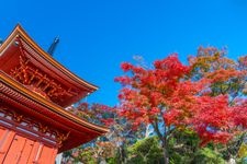 Tourist destination images of Yoshimine-dera Temple(3)