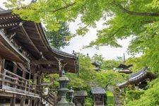 Tourist destination images of Yoshimine-dera Temple(5)