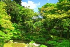 Tourist destination images of Sennyuji Temple(5)