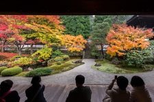 Tourist destination images of Sennyuji Temple(8)