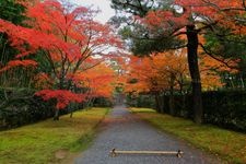 Tourist destination images of Katsura Rikyu(2)