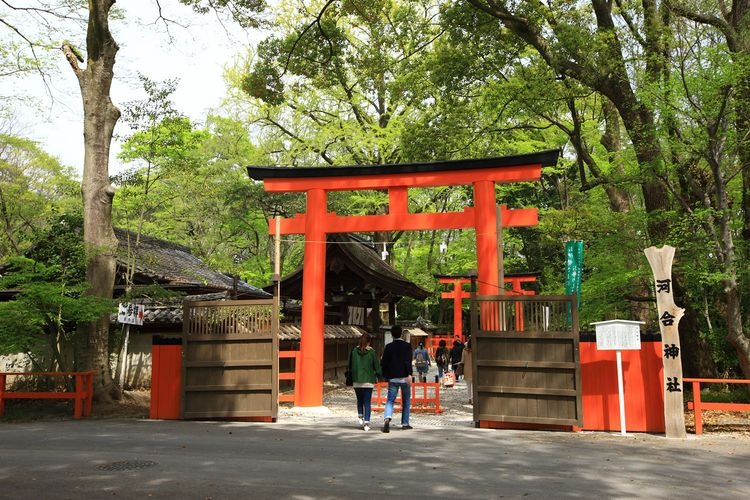 河合神社的旅游景点图片(2)