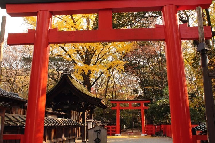 河合神社的旅游景点图片(5)