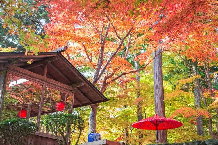 Jingo-ji Temple