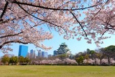 Tourist destination images of Nishinomaru Garden(3)