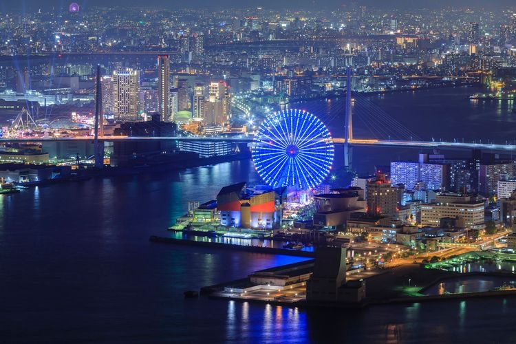 Tempozan Ferris Wheel