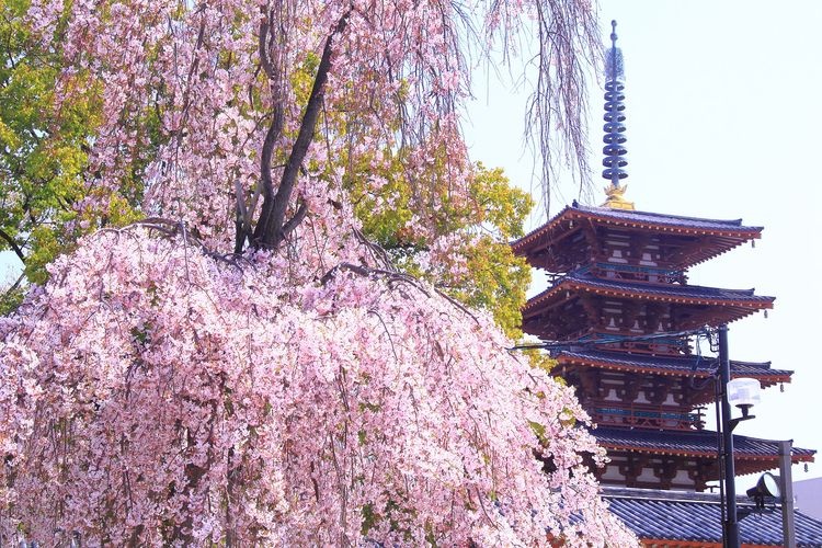 Shitennouji Temple