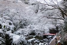 미노오 폭포의 관광지 사진(3)