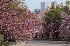 Tourist destination images of Osaka Mint Bureau Museum(1)