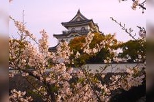 Tourist destination images of Kishiwada Castle(1)