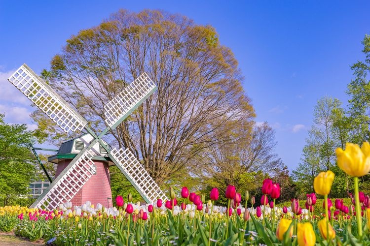 Hyogo Prefectural Flower Center