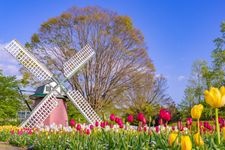 Tourist destination images of Hyogo Prefectural Flower Center(1)