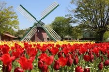 Tourist destination images of Hyogo Prefectural Flower Center(1)