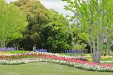 Tourist destination images of Hyogo Prefectural Flower Center(4)