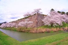 Tourist destination images of Sasayama Castle Ruins(2)