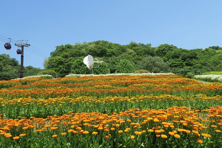 Kobe Nunobiki Herb Gardens & Ropeway