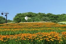 Tourist destination images of Kobe Nunobiki Herb Gardens & Ropeway(1)