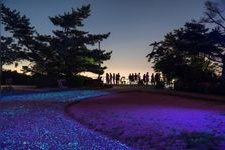 Tourist destination images of Mayayama Kukusei-dai Observatory(4)