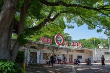 神戸市立王子動物園の観光地画像(1)