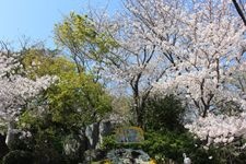 神戸市立王子動物園の観光地画像(2)