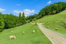 Tourist destination images of Kobe Municipal Rokkozan Farm(3)