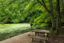 Tourist destination images of Kobe Municipal Forest Botanical Garden(2)