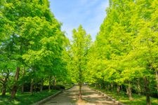 Tourist destination images of Kobe Municipal Forest Botanical Garden(3)