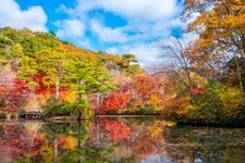 Tourist destination images of Kobe Municipal Forest Botanical Garden(3)