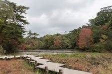 Tourist destination images of Kobe Municipal Forest Botanical Garden(5)