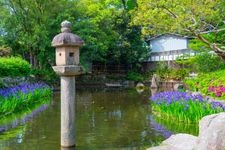 Tourist destination images of Nishinomiya Shrine(3)