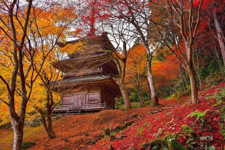 Kogen-ji Temple