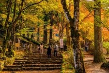 Tourist destination images of Kogen-ji Temple(5)