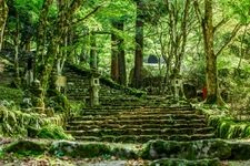 Tourist destination images of Kogen-ji Temple(7)