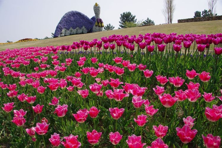 明石海峽公園（淡路地區）