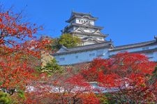 Tourist destination images of Himeji Castle(1)