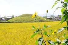 Tourist destination images of Fujinoki Kofun(3)