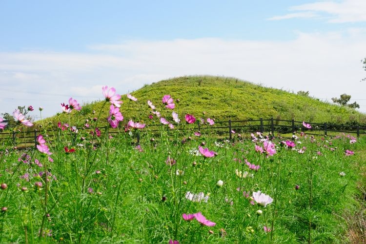 Tourist destination images of Fujinoki Kofun(2)