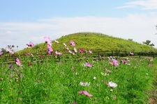 Tourist destination images of Fujinoki Kofun(2)
