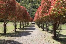 Tourist destination images of Muro Art Forest(4)