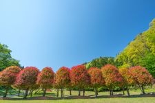 室生山上公園 芸術の森の観光地画像(2)