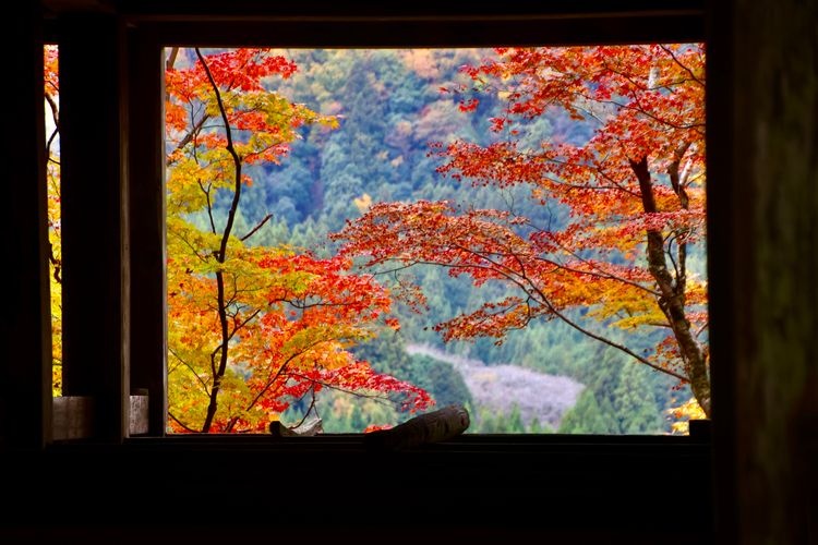 室生寺 2